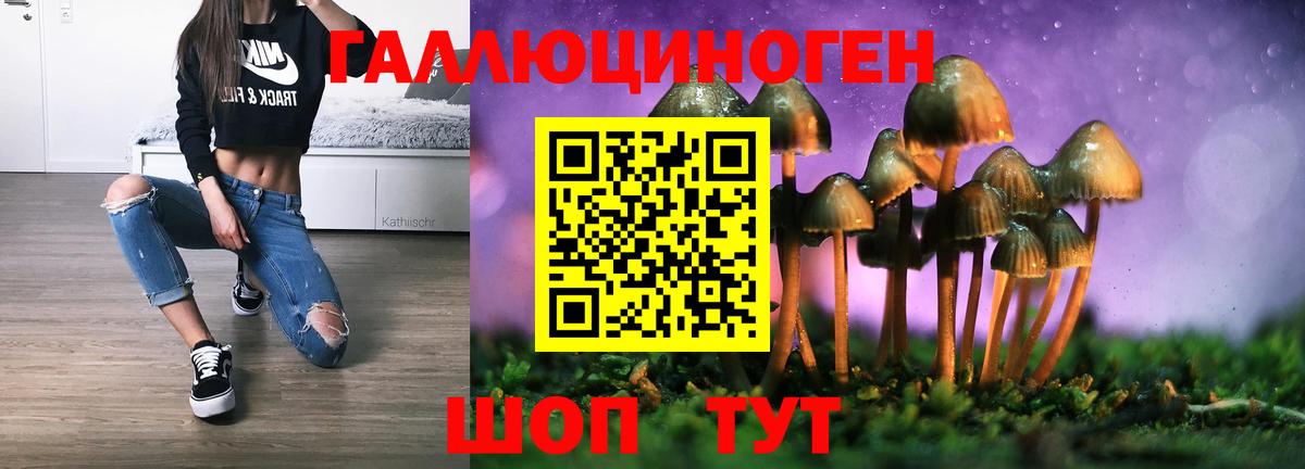 Галлюциногенные грибы мицелий  Вход с VPN  Котовск 