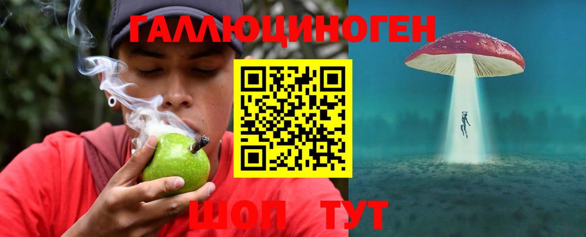 Псилоцибиновые грибы GOLDEN TEACHER Котовск